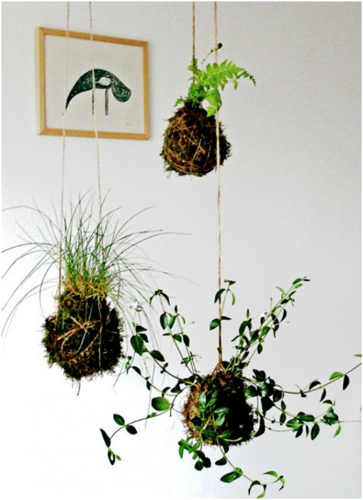 Planten hangen aan draden aan het plafond.