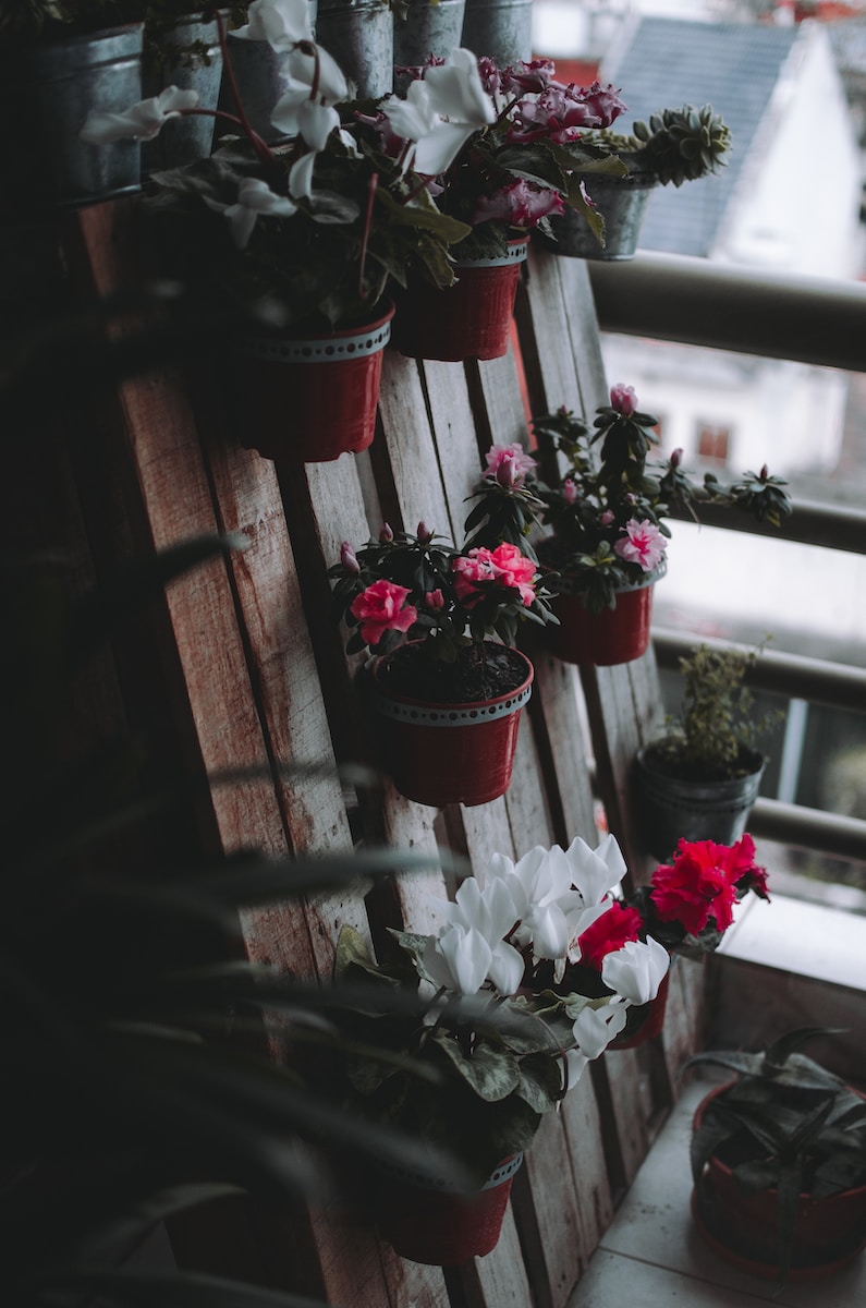 Rode en witte bloemen op rode pot.  4 trends in het aanleggen van balkontuinen die je moet kennen